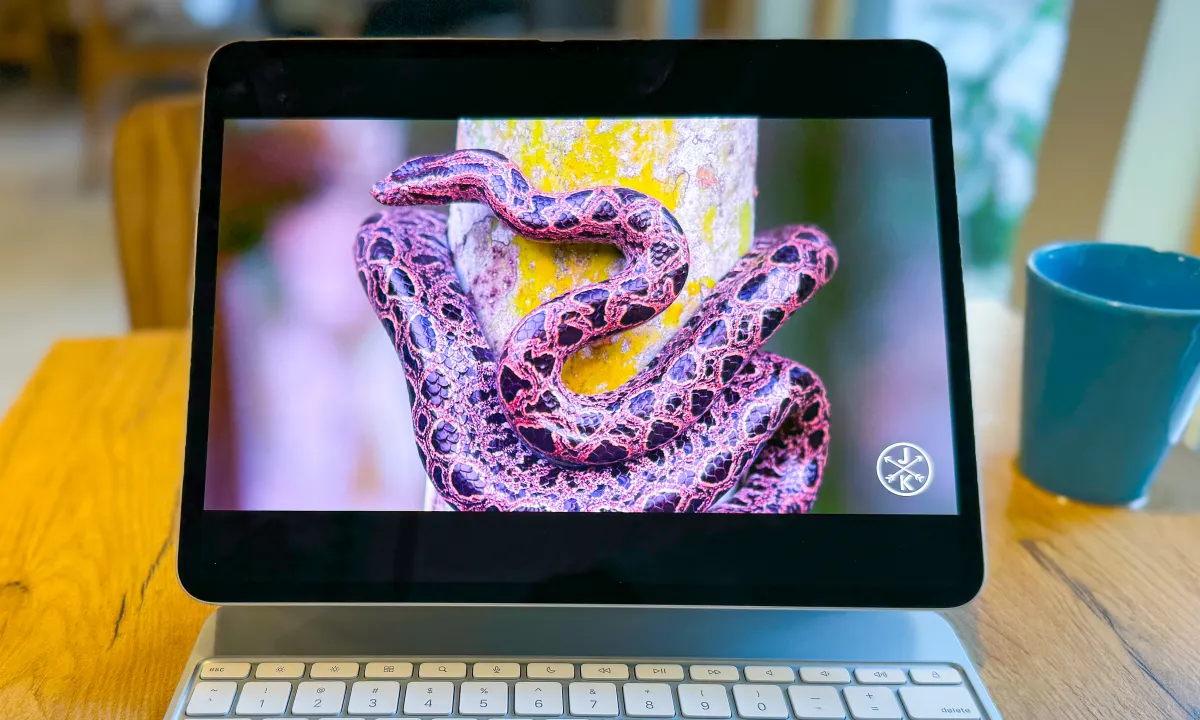 Peluncuran iPad Pro M5 Mungkin Fokus pada Peningkatan Chip, Bukan Fitur Baru